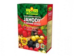 FLORIA Organo-minerální hnojivo pro jahody a drobné ovoce 2,5kg