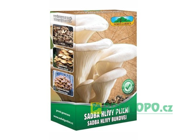 Sadba Hlívy plicní 270ml