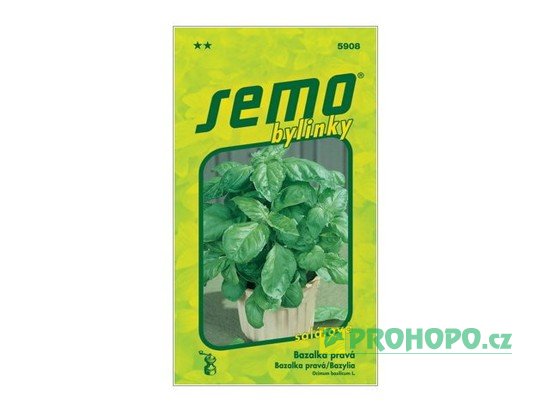 SEMO Bazalka pravá Lettuce Leaf salátová