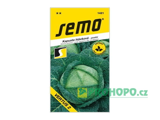 SEMO Kapusta hlávková Vertus 2 pozdní
