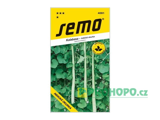 SEMO Tykev kalabasa Indická okurka do skleníku