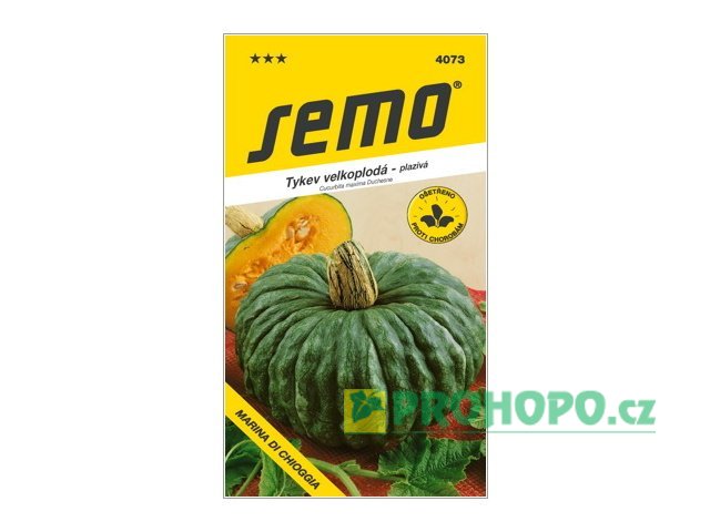 SEMO Tykev velkoplodá Marina di Chioggia plazivá
