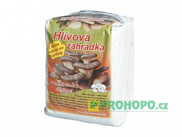 Zahrádka Hlíva ústřičná 6kg