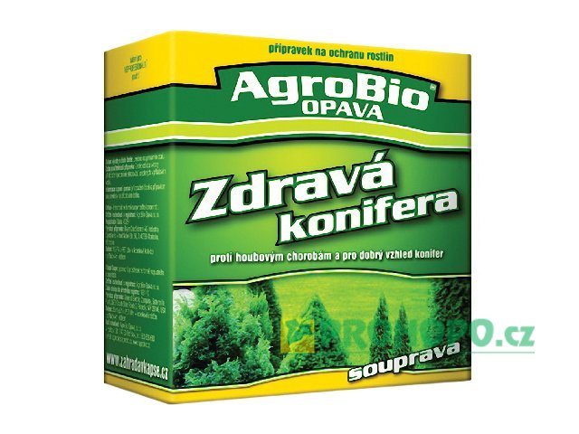 Zdravá konifera