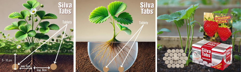 Silva Tabs pro jahody