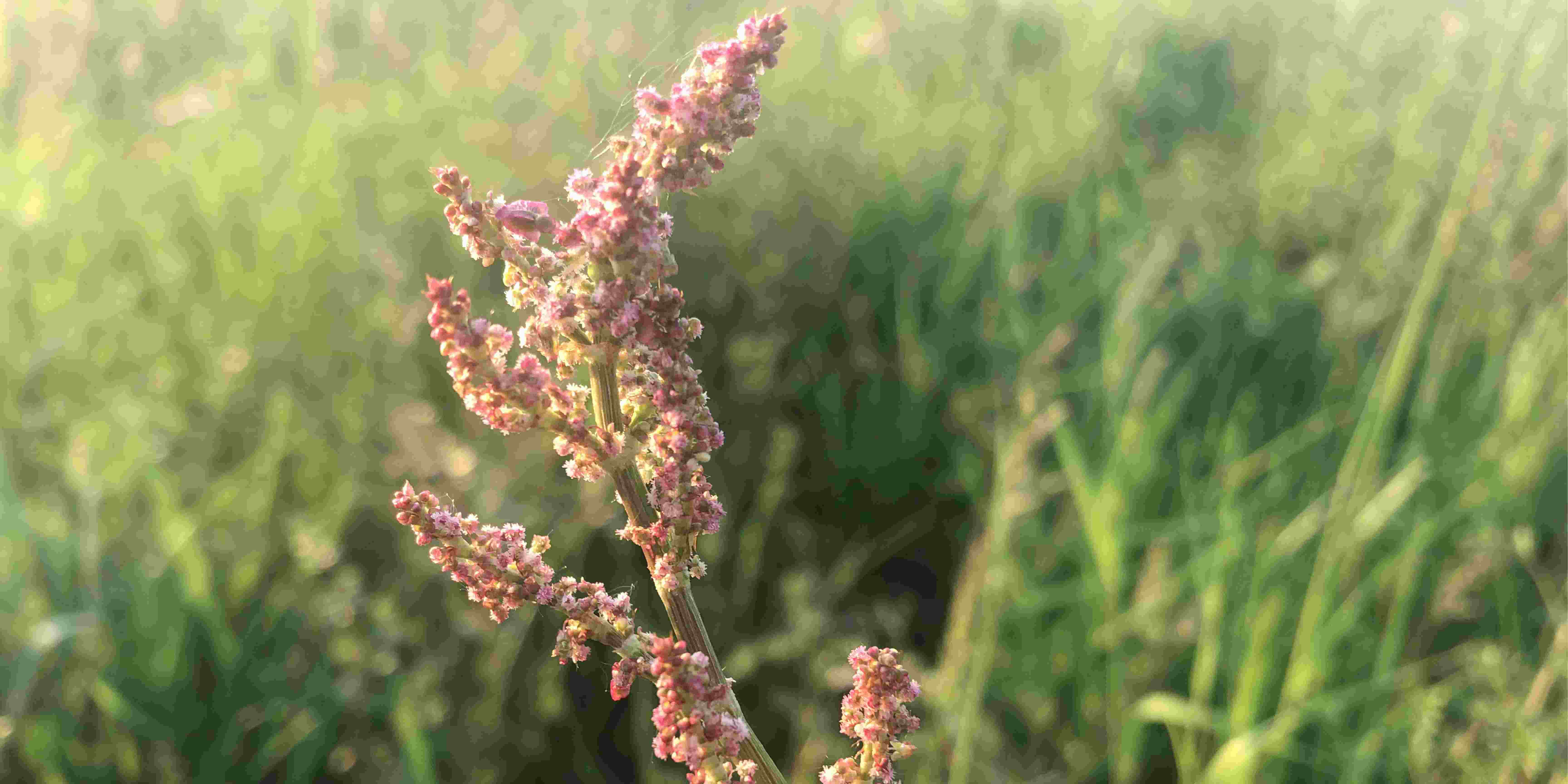 teplota při aplikaci