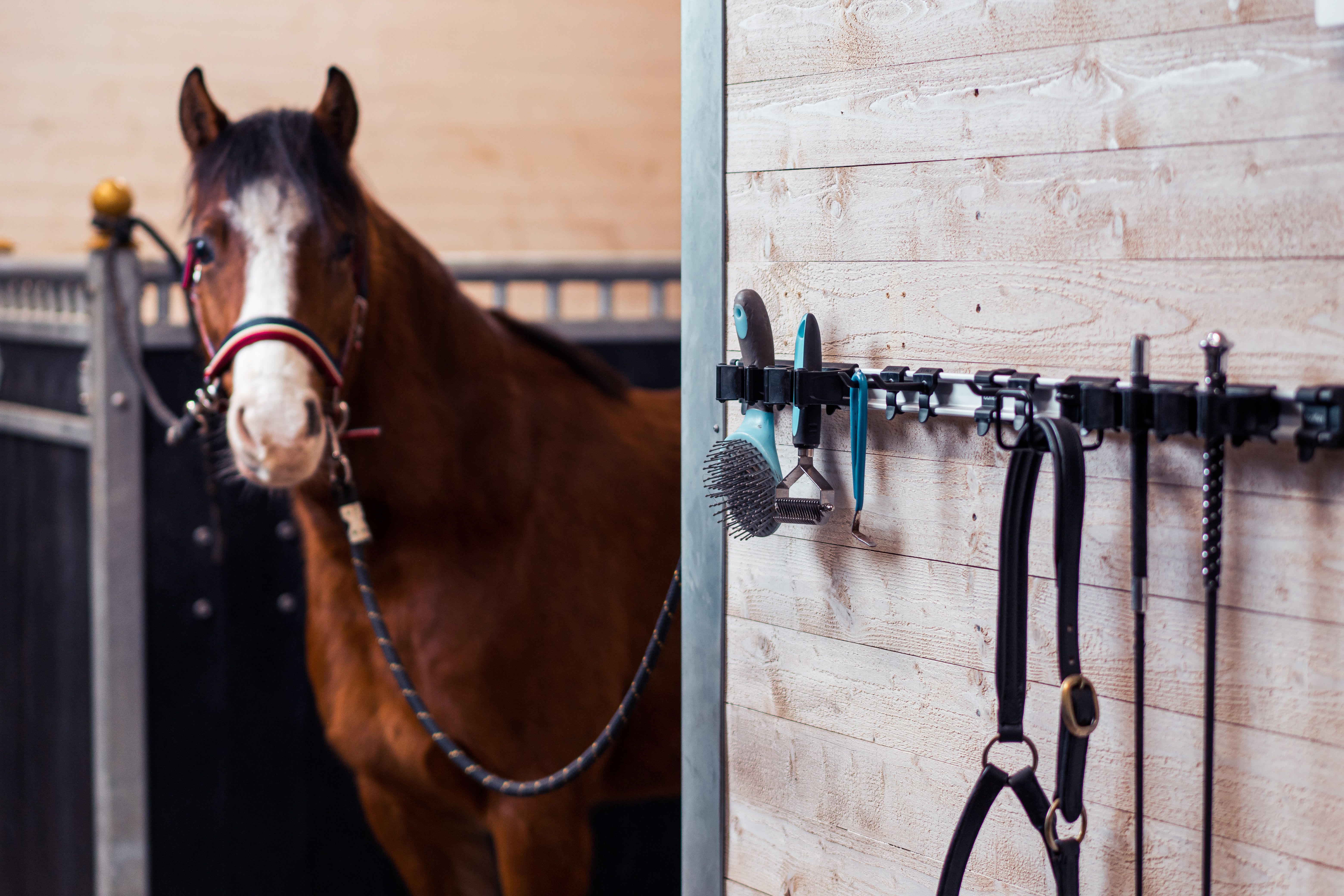 Chovatelské potřeby pro hospodářská zvířata