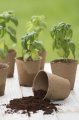 Jiffy Rašelinový květináč 6cm - pro snadné, rychlé a zdravé předpěstování rostlin