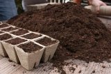 Jiffy Rašelinový sadbovač 12 květináčů 6x6cm - pro snadné, rychlé a zdravé předpěstování rostlin