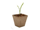 Jiffy Rašelinový sadbovač 6 květináčů 8x8cm - pro snadné, rychlé a zdravé předpěstování rostlin