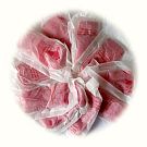 Norat 25 Pasta 10x15g - pastovitá deratizační nástraha do prostředí s nízkou teplotou