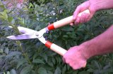 Nůžky HECHT 023-2W na živý plot s vlnitým ostřím