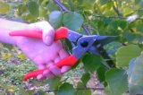 Nůžky HECHT 421 zahradní PROFI dvoučepelové