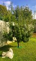 Ochrana stromu TreeGuard 48cm [GR500] - chrání kmen stromu proti poškození sekačkou