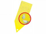 Stopset - žluté lepové šipky 5ks. [14x5cm] - proti škodlivému létajícímu hmyzu