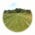 Travobylinná směs Štěrkový trávník s řebříčkem  1kg - směs pro parkovací plochy